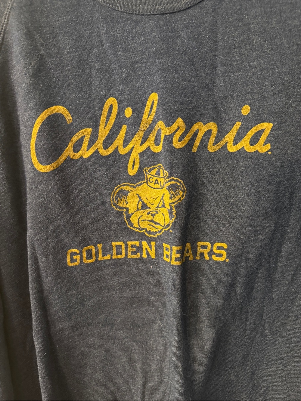 Alternative Apparel California Golden Bears Graphic Crewneck Sweatshirt L - Picture 2 of 4